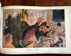 Denmark Art Nouveau 1895-1904 Blaeksprutten 175 fine color lithographed plates