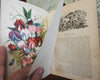Vick's Illustrated Monthly Magazine 1879-82 Lot x 5 w/ color floral plates