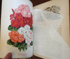 Vick's Illustrated Monthly Magazine 1879-82 Lot x 5 w/ color floral plates