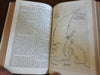 Democratic Review 1852 Crimean War Cannibal Poetry maps portraits rare book