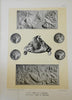 Art Deco Sculpture c.1925 Decorative 3 vol. rare complete photo plate set