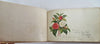 Vermont NH Mass. Autograph Album c. 1885-7 Mary Simmonds Stowe VT 100 signatures