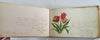 Vermont NH Mass. Autograph Album c. 1885-7 Mary Simmonds Stowe VT 100 signatures