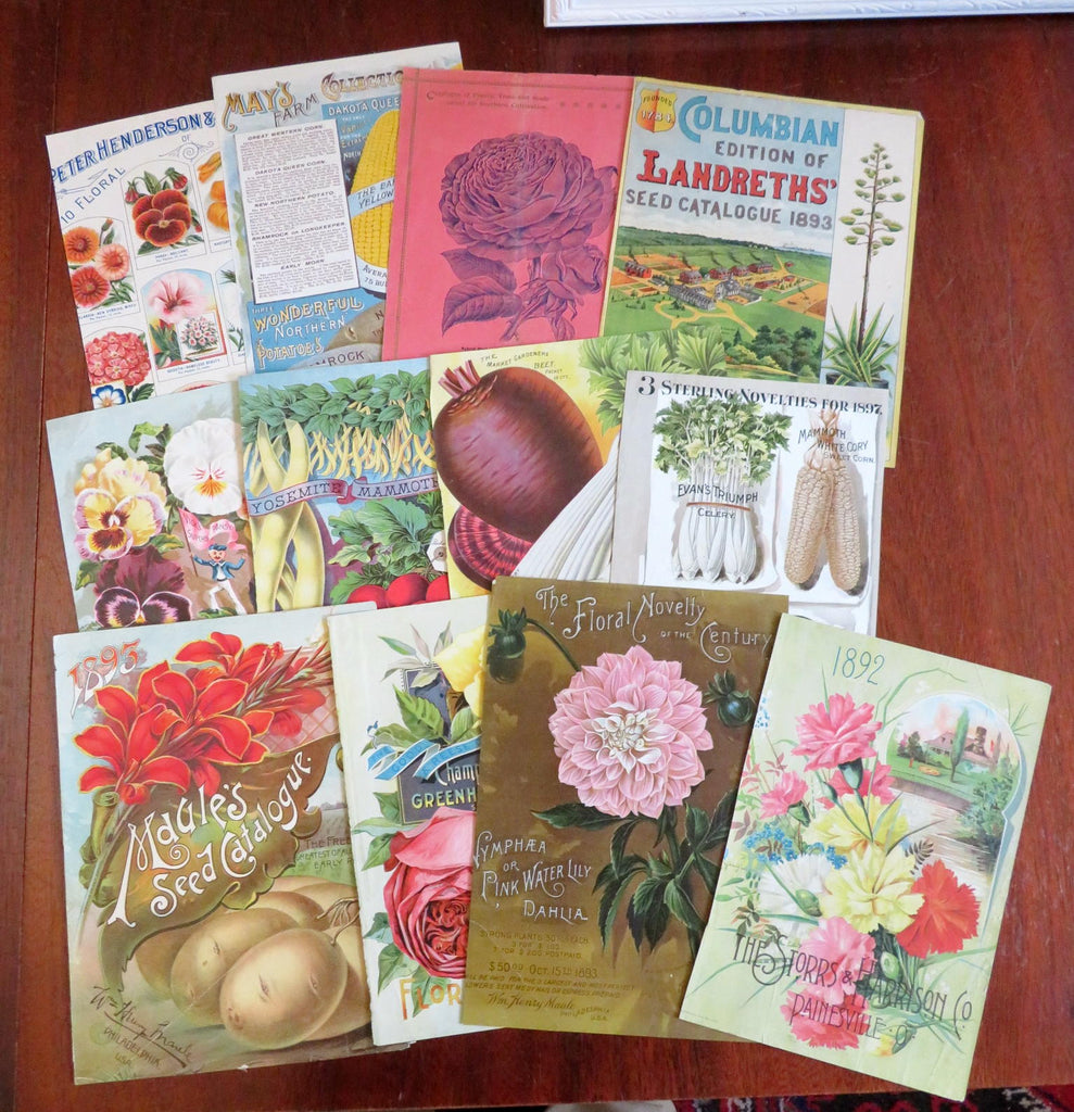 Gardening Flower Seed Catalog 1890's Chromo & Color Lithograph Prints Lot x 12