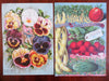 Gardening Flower Seed Catalog 1890's Chromo & Color Lithograph Prints Lot x 12
