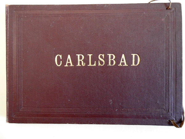 Carlsbad Germany c.1870's Souvenir Photo Album 8 mounted albumen photos