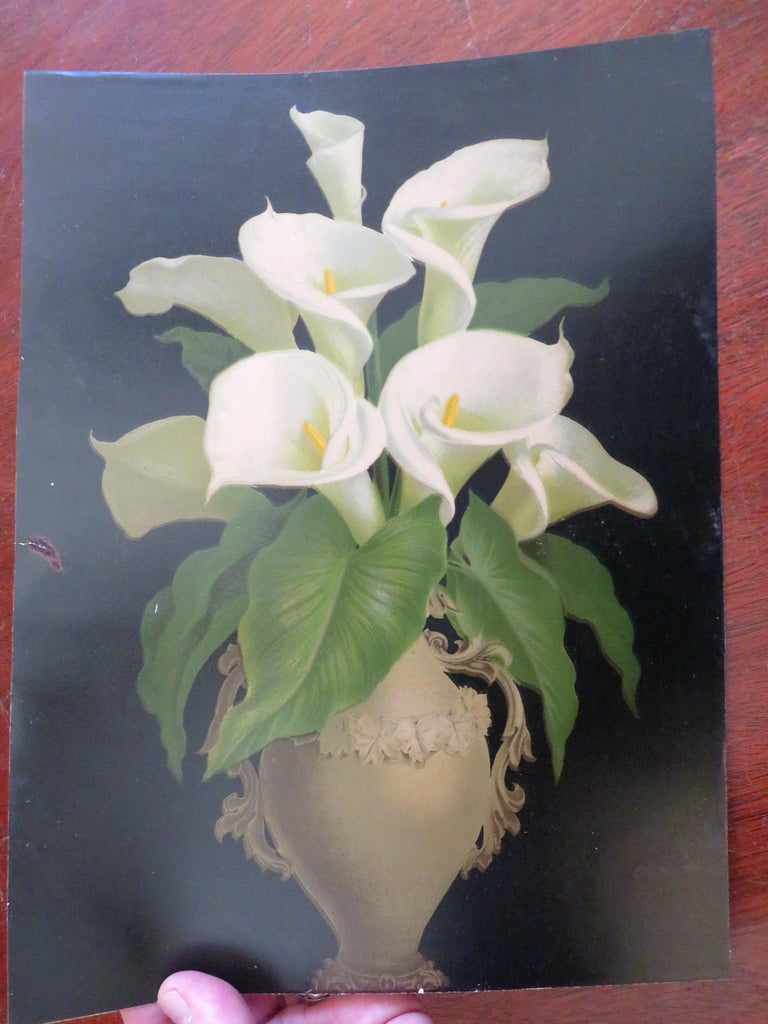 White Lilies in Greek Urn Still Life 1870's rare colorful printed graphic