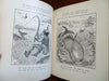 Palmer Cox Queerie Queers Children's Book 1880's Malena Company