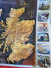 Kingdom of Scotland Decorative Vignettes Clan Shields c. 1950's lg pictorial map