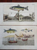 Fishing Prints Lot x 10 Coastal Scenes Fishing Boats c. 1812 hand colored prints