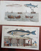 Fishing Prints Lot x 10 Coastal Scenes Fishing Boats c. 1812 hand colored prints