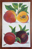 Fruit Varieties Apples Oranges Plums Olives 1887 Lot x 5 color litho prints