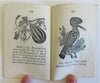Children's Picture Book Animals Botany Ethnography 1849 juvenile chap book