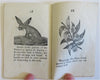 Children's Picture Book Animals Botany Ethnography 1849 juvenile chap book