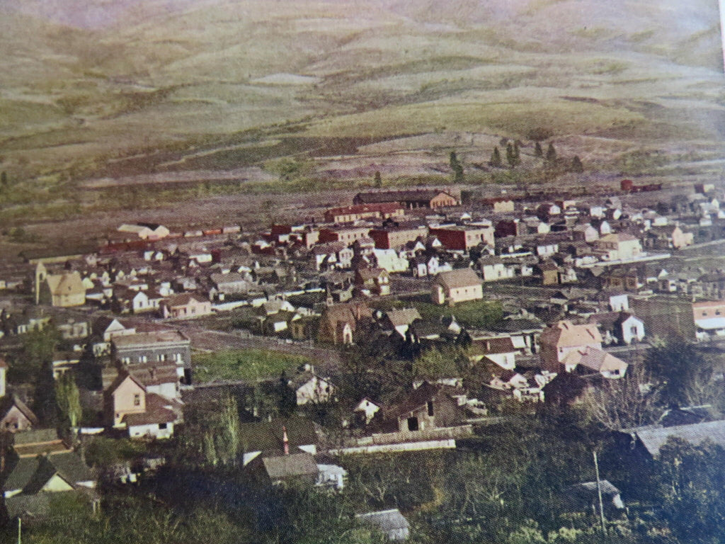 Ashland Oregon Souvenir Panoramic View c. 1930's souvenir item