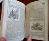 Rural Annual Horticultural Directory 1860 Insects Plants Birds illustrated book