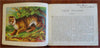 Wild Animals for Children Juvenile Zoology c. 1870's illustrated picture book