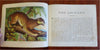 Wild Animals for Children Juvenile Zoology c. 1870's illustrated picture book