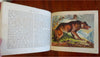 Wild Animals for Children Juvenile Zoology c. 1870's illustrated picture book