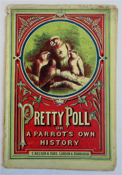 Pretty Poll Parrot Adventures Children's Story 1870's illustrated juvenile book
