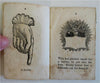 Small Man's Friend Children's Facts 1839 Colesworthy Maine juvenile chap book