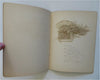 A Song for Christmas Morning Children's Story 1880's color litho juvenile book