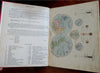Dutch world Atlas 1921 R. Bos' Illustrated juvenile atlas w/ 44 color maps