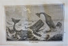 Enterprise Industry & Art Fishing Farming Manufacturing 1845 illustrated book