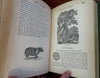 Hunter's Adventures Outdoors Children's Stories 1875 Frost illustrated book