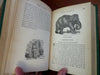 Hunter's Adventures Outdoors Children's Stories 1875 Frost illustrated book