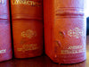Connecticut Biography Representative Citizens 1917 leather 5 vol. set portraits
