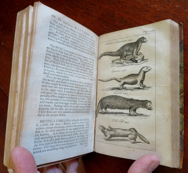 Natural History of Quadrupeds Medical Uses 1772 Brookes book w/ 21 engravings