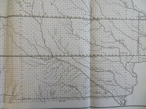 Iowa State Public Surveys 1854 Warner Lewis detailed state map survey quadrants