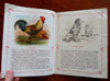 Farm Animals c. 1900 McLoughlin Illustrated Country Friends chromo linen book