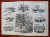 Antietam Aftermath Fritz Sigel Harper's Civil War newspaper 1862 complete issue