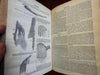 Nature: Weekly Illustrated Scientific Journal May - October 1879 leather book