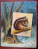 Frisky the Squirrel 1889 McLoughlin Bros. rare Quarto color litho Juvenile Book