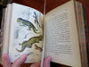 Scripture Zoology Biblical Animals Bears Birds Hippos 1852 Catlow color plates
