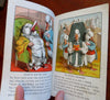 Life & Death of Mrs. Duck Children's Moral Tale 1869 color juvenile book