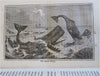 Whaling Fishing Hunting Commerce Mining Industrial Arts Biz 1849 Goodrich book