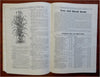 Thorburn's High Class Seed Gardening Flowers 1911 pictorial mail order catalog