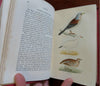 British Birds Mudie's Ornithology Guide 1854 pictorial book 16 color plates