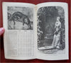 Annual Calendar & Almanac for 1884 American illustrated booklet
