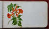 Floral Autograph Album c. 1875 pictorial book w/ signatures well wishes poems
