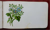 Floral Autograph Album c. 1875 pictorial book w/ signatures well wishes poems