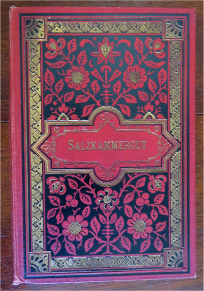 Salzkammergut Austria Resort Region 1898 pictorial souvenir album city views