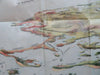 Boston Harbor & South Shore Provincetown c. 1910 folding panorama map