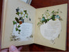 Souvenir Greeting Books c. 1910's Lot x 4 lovely colorful keepsakes