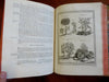 China Korea Tartary Asia Exploration 1758 Prevost book 38 plates view maps