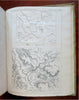 Ancient History French Royal Academy Caesar Ptolemy Geography India 1840 book